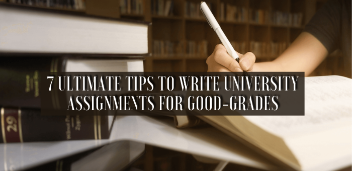 how to write university assignments