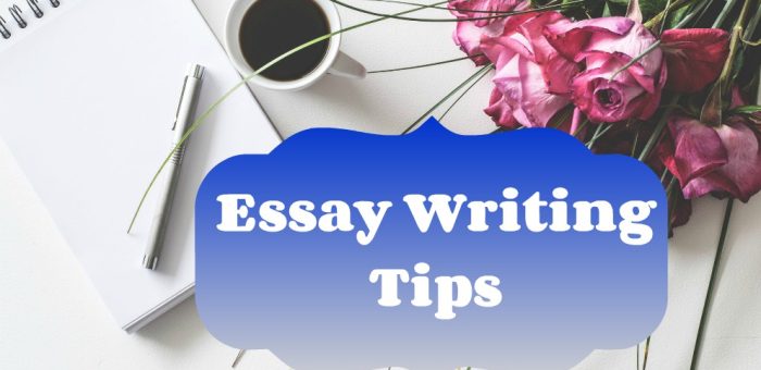 how to be a pro in essay writing