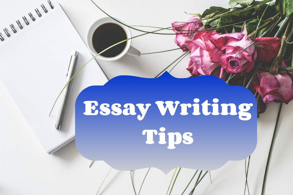 Best Tips To Make You A Pro At Writing Essays In 2023 3 