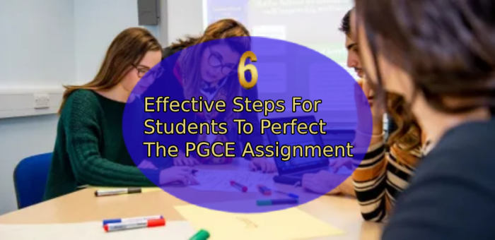 pgce assignment questions